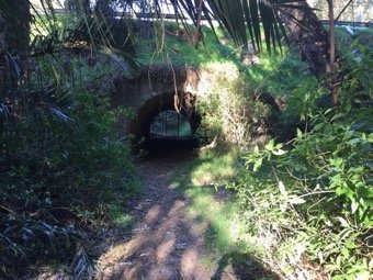 Túnel de paso