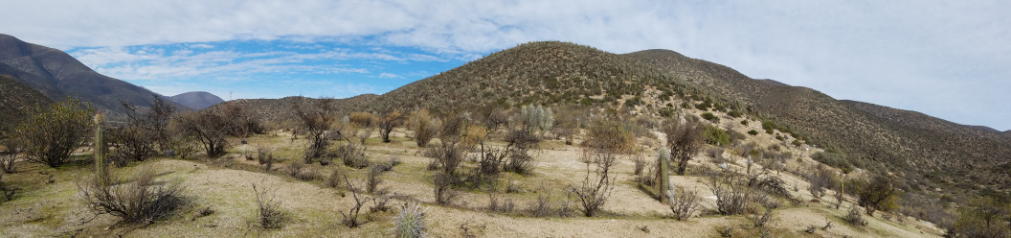 Vista panorámica