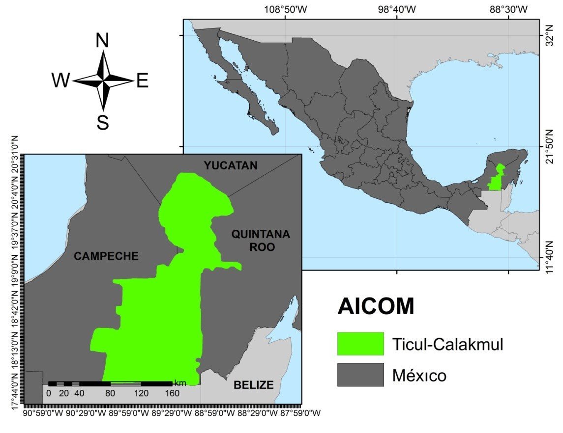 Ticul Calakmul