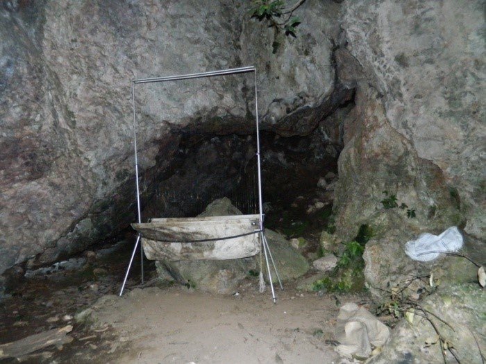 Apaguajíl 8