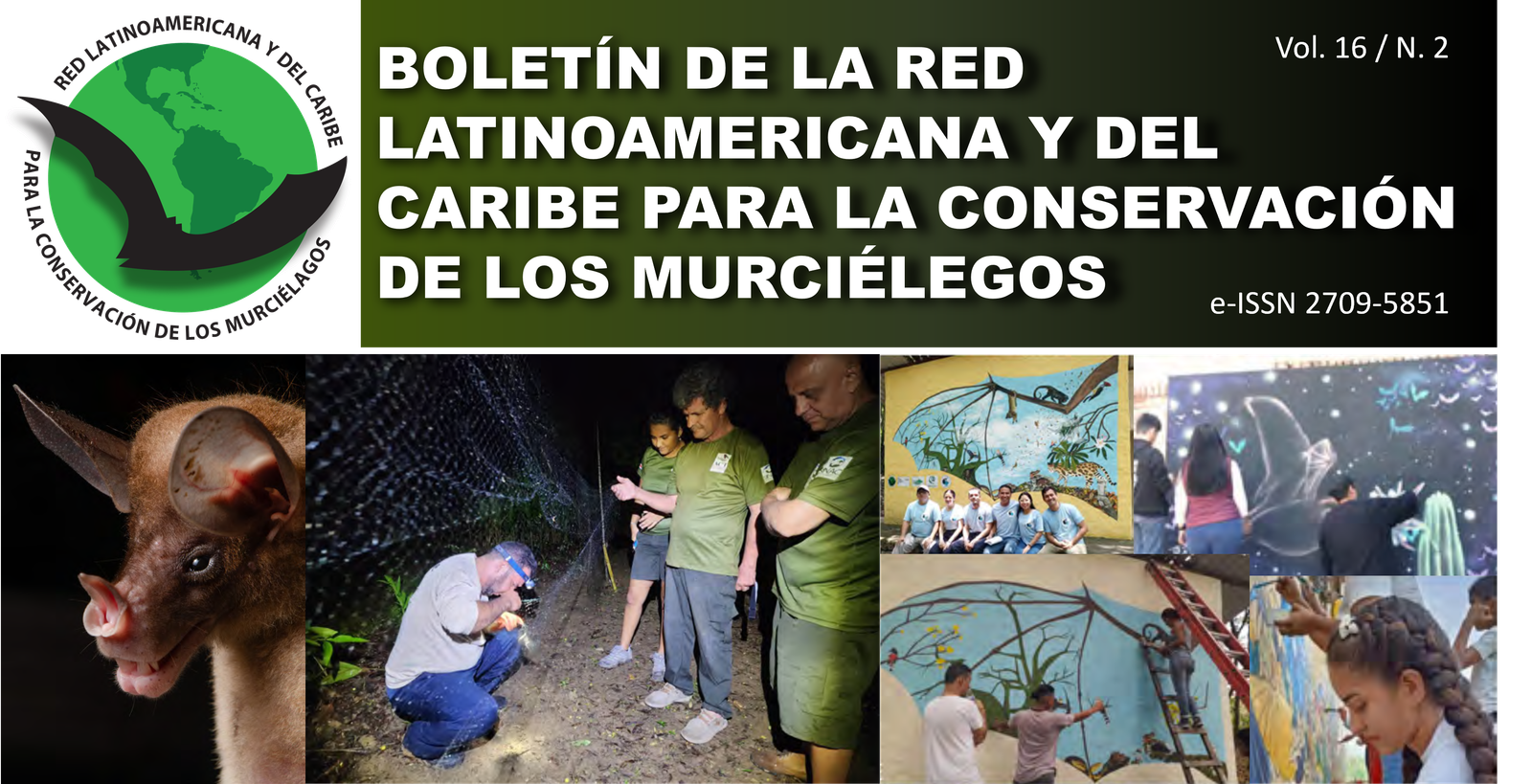 Portada del Boletín de RELCOM, Volumen 16, Número 2