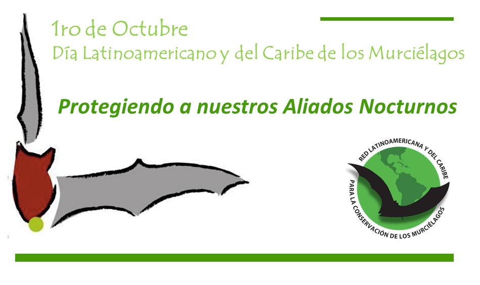 Día Murciélago