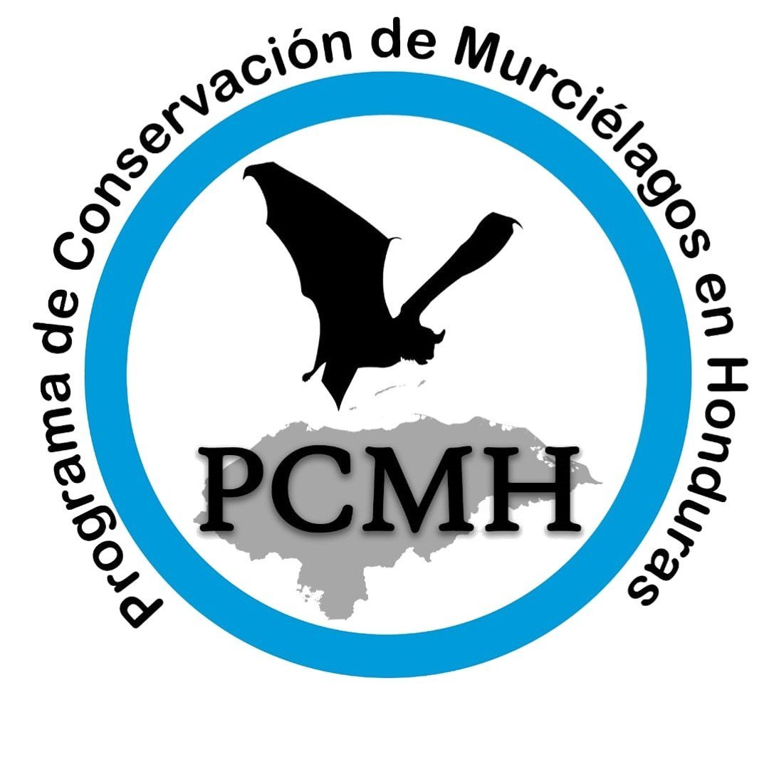 PCMA-HN