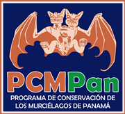 PCMA-BCI