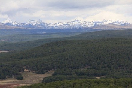 Paisaje de la reserva Natural Karukinka Bosques subantárticos Montañas y Turberas Foto G. Ossa 2016