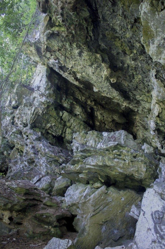 Cueva Los Guácharos y del Agua municipio Maceo