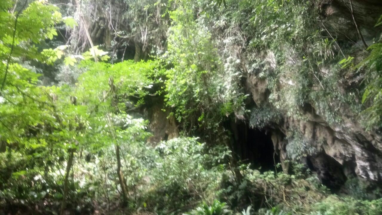 Entrada de la Caverna El Cóndor vereda La Hinojosa municipio de San Francisco