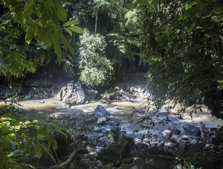 Quebrada Guardasol en el Corredor Kárstico del Oriente Antioqueño