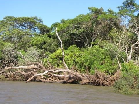 Isla del Zapallo Dpto.  Artigas