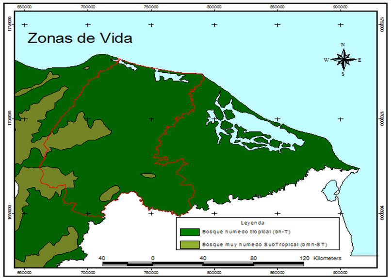 Zonas de vida Bosques húmedos tropicales de La Moskitia 1