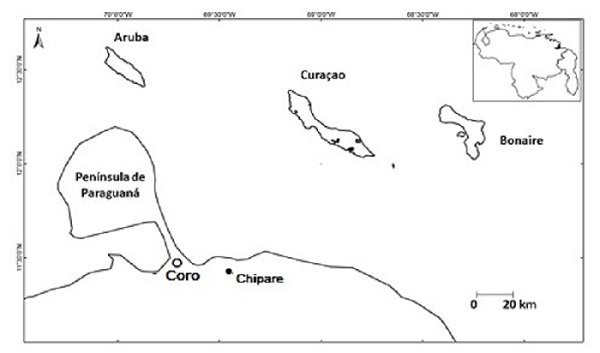 Mapa 21 Cueva de Chipare 2
